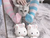 全網整理超大自整理合集87位極品蘿莉 超絕收藏合集 第二期 [Twitter][蘿莉] [⁵⁵⁵小埋長不高ˡᵃ@Xiaomai522]