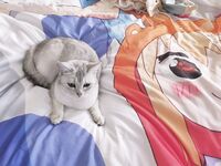 全網整理超大自整理合集87位極品蘿莉 超絕收藏合集 第二期 [Twitter][蘿莉] [⁵⁵⁵小埋長不高ˡᵃ@Xiaomai522]