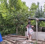 全網整理超大自整理合集87位極品蘿莉 超絕收藏合集 第二期 [Twitter][蘿莉] [⁵⁵⁵小埋長不高ˡᵃ@Xiaomai522]