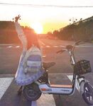 全網整理超大自整理合集87位極品蘿莉 超絕收藏合集 第二期 [Twitter][蘿莉] [⁵⁵⁵小埋長不高ˡᵃ@Xiaomai522]