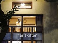 全网整理超大自整理合集87位极品萝莉超绝收藏合集第二期[Twitter][萝莉] [Fariskitten猫型人偶]【注销】