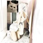 全网整理超大自整理合集87位极品萝莉超绝收藏合集第二期[Twitter][萝莉] [ik@Criskissly]【注销】