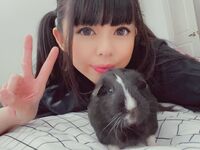 Seluruh rangkaian menyusun koleksi besar 87 koleksi koleksi super lolita berkualiti tinggi keluaran kedua [Twitter][Lolita] [kit@hellokittiex]