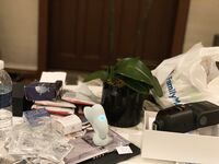 [Twitter][蘿莉] [wink是可愛的wink@winkwink333] sjs1017