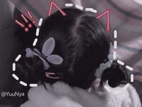 全網整理超大自整理合集87位極品蘿莉 超絕收藏合集 第二期[Twitter][蘿莉] [LepALuli2kVN@LepALuli2kVN] 1011