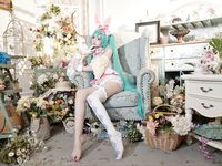 เครือข่ายทั้งหมดได้รวบรวมคอลเลกชันสุดอลังการของ Lolita Super Collection ฉบับที่ 2 จำนวน 87 ชุด [Twitter][Lolita] [Chengzi Wangjiang@chengzimiaoji1]