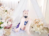 เครือข่ายทั้งหมดได้รวบรวมคอลเลกชันสุดอลังการของ Lolita Super Collection ฉบับที่ 2 จำนวน 87 ชุด [Twitter][Lolita] [Chengzi Wangjiang@chengzimiaoji1]