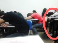 [Twitter][Loli] [Letícia Shirayuki@LetciaShirayuk1]