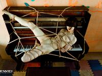 [트위터][蘿莉] [Sion 시음@shiyin_sion]