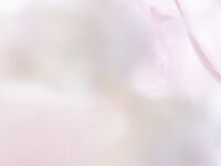 [Twitter][萝莉] [live酱]【冻结】