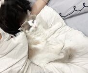 推特超美白虎美妞【Litchi_sy】520门槛福利超嫩