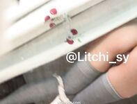 推特超美白虎美妞【Litchi_sy】520门槛福利超嫩