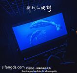 【2025年新流】深圳中越混血网红【波多野】视图福利，高颜值外围名媛，有钱人的玩物