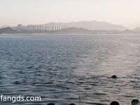 【2025年新流】深圳中越混血网红【波多野】视图福利，高颜值外围名媛，有钱人的玩物