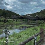 【2025年新流】深圳中越混血网红【波多野】视图福利，高颜值外围名媛，有钱人的玩物