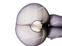 [2025년 신작] 트위터 2005년 빅브레스트 바비 [악마의 사랑] 유료 VIP 혜택 ①, 날씬한 허리와 복숭아 엉덩이, 음란한 말 가득, 섹스 앤 튜닝, 암캐 속성 가득