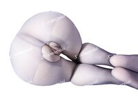 [2025년 신작] 트위터 2005년 빅브레스트 바비 [악마의 사랑] 유료 VIP 혜택 ①, 날씬한 허리와 복숭아 엉덩이, 음란한 말 가득, 섹스 앤 튜닝, 암캐 속성 가득