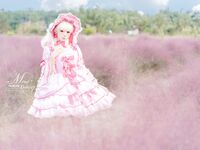 Yiko湿润兔- 25.01月作品『丝绒粉黛』小舞蹈