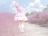 Yiko湿润兔- 25.01月作品『丝绒粉黛』小舞蹈