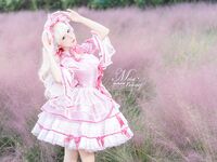 Yiko湿润兔- 25.01月作品『丝绒粉黛』小舞蹈