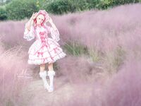 Yiko湿润兔- 25.01月作品『丝绒粉黛』小舞蹈