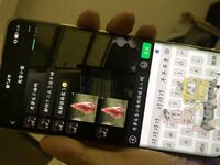 【喵先生】调教母狗教材！大神收徒弟传授调教开发母狗经验实战调教性爱母狗教学！清纯小妹妹大鸡巴下变成淫荡的骚母狗