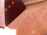 【喵先生】调教母狗教材！大神收徒弟传授调教开发母狗经验实战调教性爱母狗教学！清纯小妹妹大鸡巴下变成淫荡的骚母狗