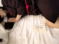 海角亂倫大神【shsjsjssnn】『與親姐和漂亮表姐的瘋狂亂倫』收費合集，穿上空姐制服 嘗試姐姐的後庭 射在姐姐嘴裡！