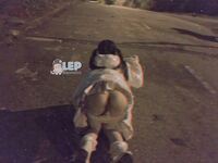 超嫩合法小母狗萝莉『LepALuli2kVN』被主人爸爸拽着双马尾后入，无毛小嫩穴被大肉棒塞满