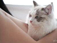 推特極品白虎蘿莉『kitty不吃魚』一字馬紫薇被男主調教啪啪乖的狠！超嫩可愛人形小母狗 被操的叫爸爸 下