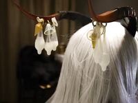 推特極品白虎蘿莉『kitty不吃魚』一字馬紫薇被男主調教啪啪乖的狠！超嫩可愛人形小母狗 被操的叫爸爸 下