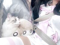 推特極品白虎蘿莉『kitty不吃魚』一字馬紫薇被男主調教啪啪乖的狠！超嫩可愛人形小母狗 被操的叫爸爸 下