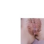 白富美性感御姐『水野遥香』被大鸡巴猛男操成淫荡母狗，魔鬼身材白虎粉逼暴力后入翘臀女神变母狗