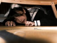 推特极品福利姬星野柒免大尺度写真自拍自慰视频合集