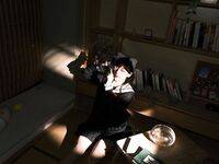 推特极品福利姬星野柒免大尺度写真自拍自慰视频合集