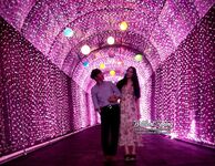 The best little bitch's cloud disk life photos and sex videos are leaked, the contrast is full