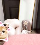 超高顏值極品身材的女大學生女神，在金主面前是任人擺布的小母狗，這身材簡直就是極品的炮架子