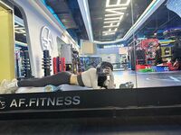 抖音极品颜值福利姬【宝贝77】大尺度私密照自拍