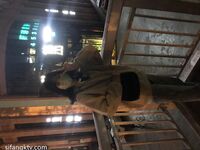 【精品泄密】最新反差婊43