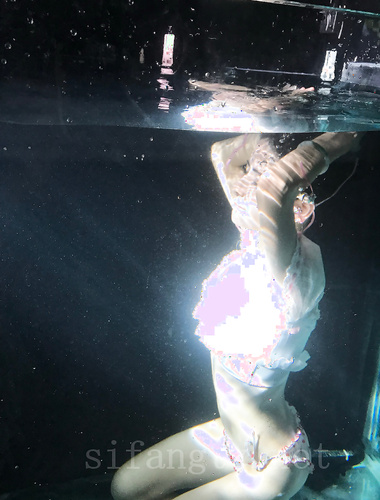 抖音狗头萝莉珍藏合集