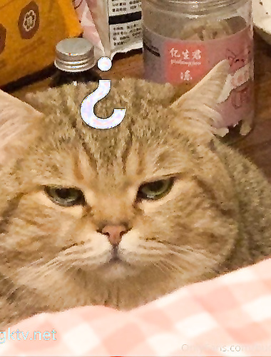 Internet celebrity goddess "One Cloud Burn" with 570,000 followers on Twitter, the latest OF subscription, private photos of children with big breasts, various COS, extremely charming HD