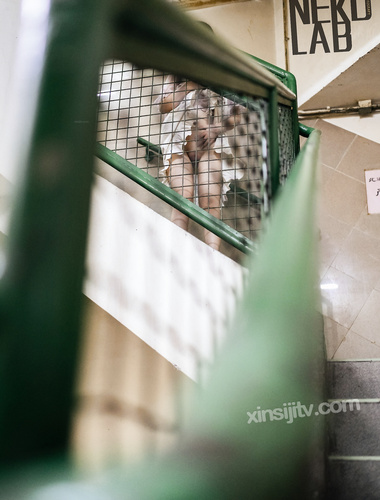 Youmiaojiang - 계단통의 무질서