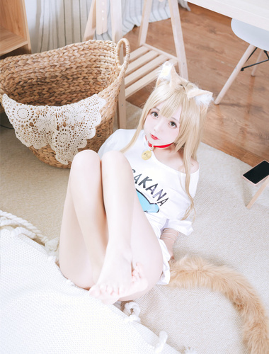 Rinajiao-NO.063 Soybean Powder 