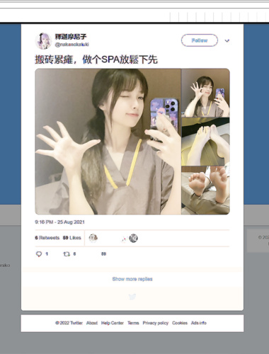 ลูกหมึกย้อม (ศากยมุนีซี) วังเจ็ดฟ้า