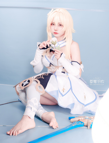 草莓羽衣旅行者调研