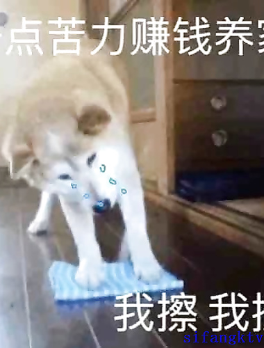 Twitter celebrity nine-headed goddess [Eve_S8899] has a super powerful semen collector, and she has a high-end P holy water training with multiple men and multiple women.