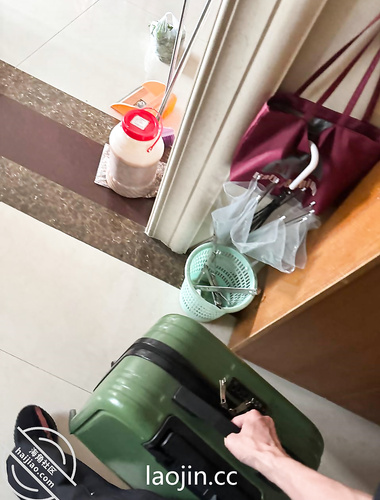 Ekor kuda kembar Cape God, harimau putih merah jambu dan lembut@LOLI小sepupu