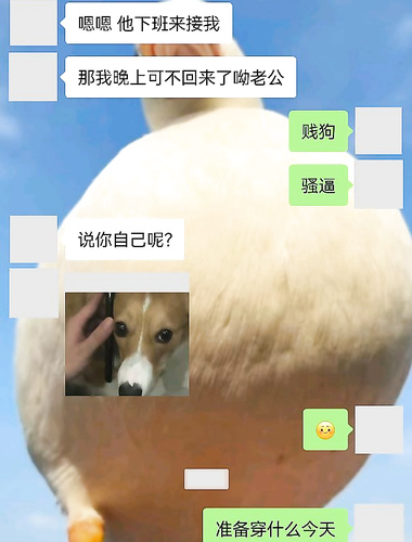 重度淫妻大佬@小熊戴绿帽贡献娇妻附大量聊天记录