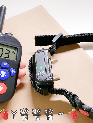 清纯小母狗萝莉『Y酱酱酱』 (含新增) 完整版小视频合集，户外露出调教啪啪稚嫩小骚穴被大肉棒狠干，软萌软萌小母狗