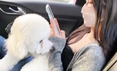 킹마스 최신 비공개 촬영 매일 섹스 조정 복숭아 엉덩이 여자 친구 노출 작업 HD (6)